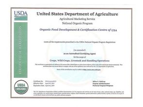 迪司贝儿618品质狂欢节 一场健康与品质的盛宴，但真的“能吃”吗？