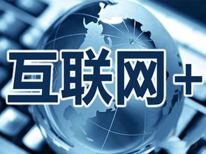 企业软件的“伪互联”虚火与“真互联”实需——以健康咨询为例